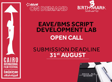 EAVE-BMS Script Development Lab opens for submissions